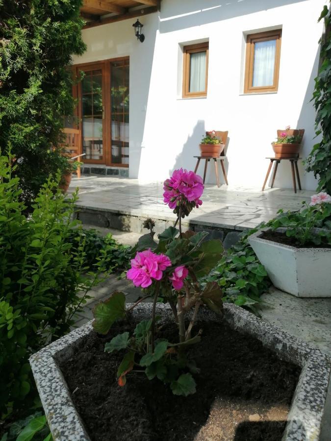 Apartmany 62 Novy Prerov Екстер'єр фото