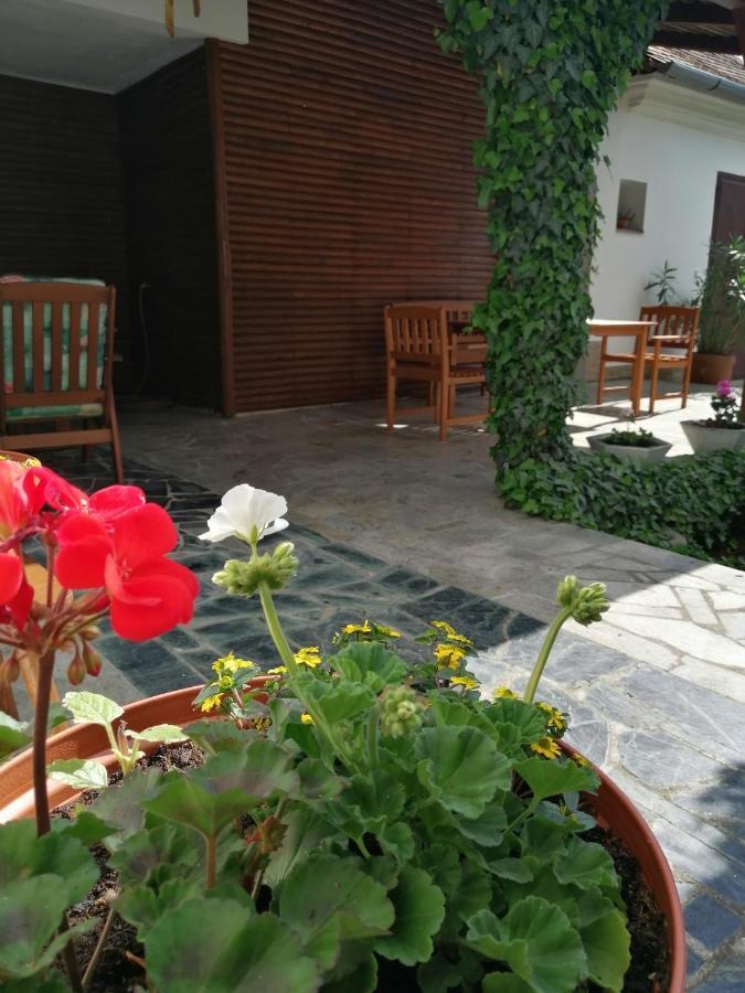 Apartmany 62 Novy Prerov Екстер'єр фото